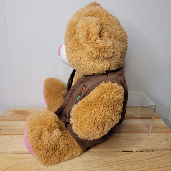 BAB Girl Scouts 100 Anniversary Bear w/ Clothes - Picture 4 of 8